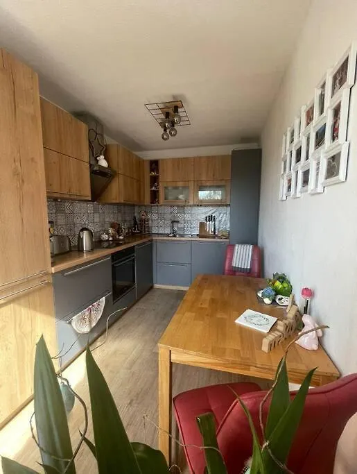 Dresden Escape Schicke 2 Zimmer Wohnung